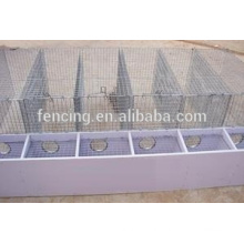 animal farm Hexagonal Wire Netting/hexagonal cage